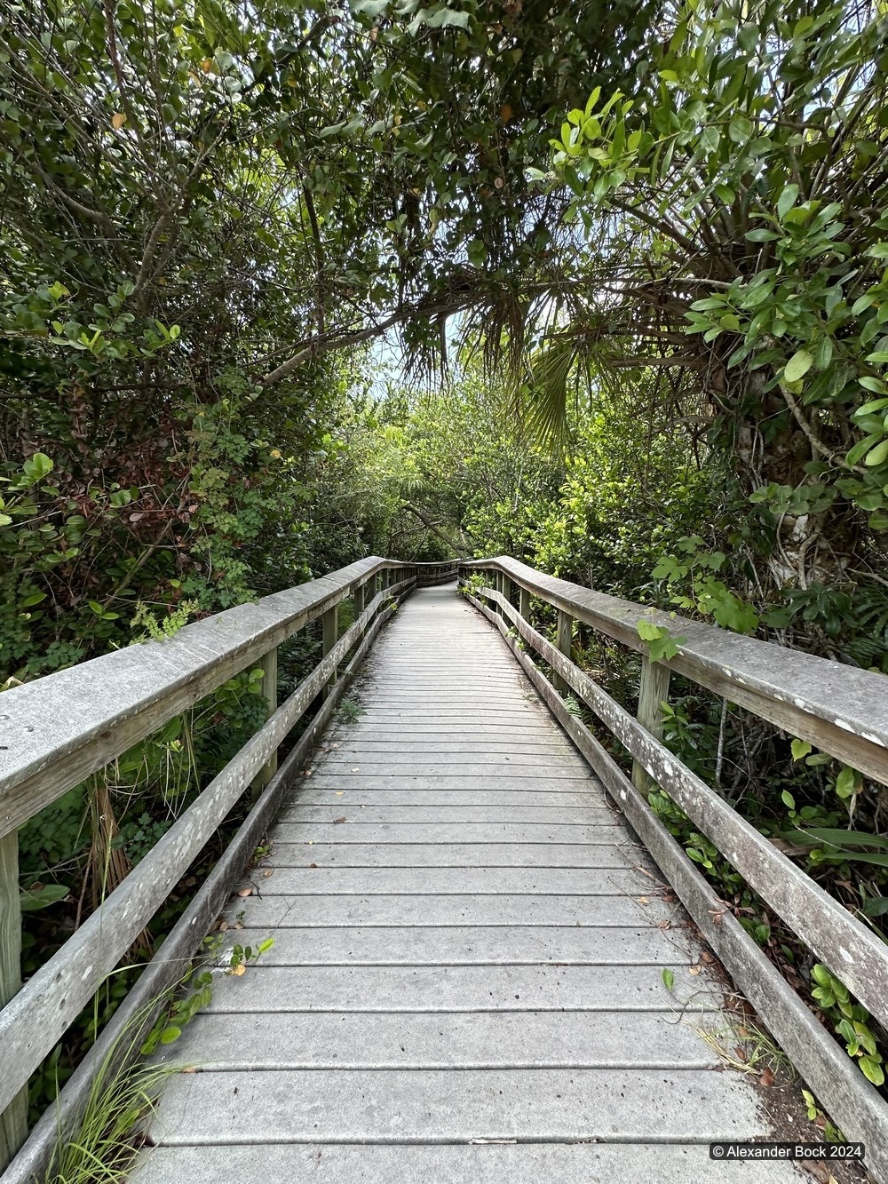 Everglades bridge