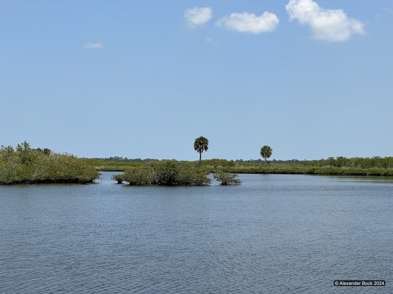 Wetlands