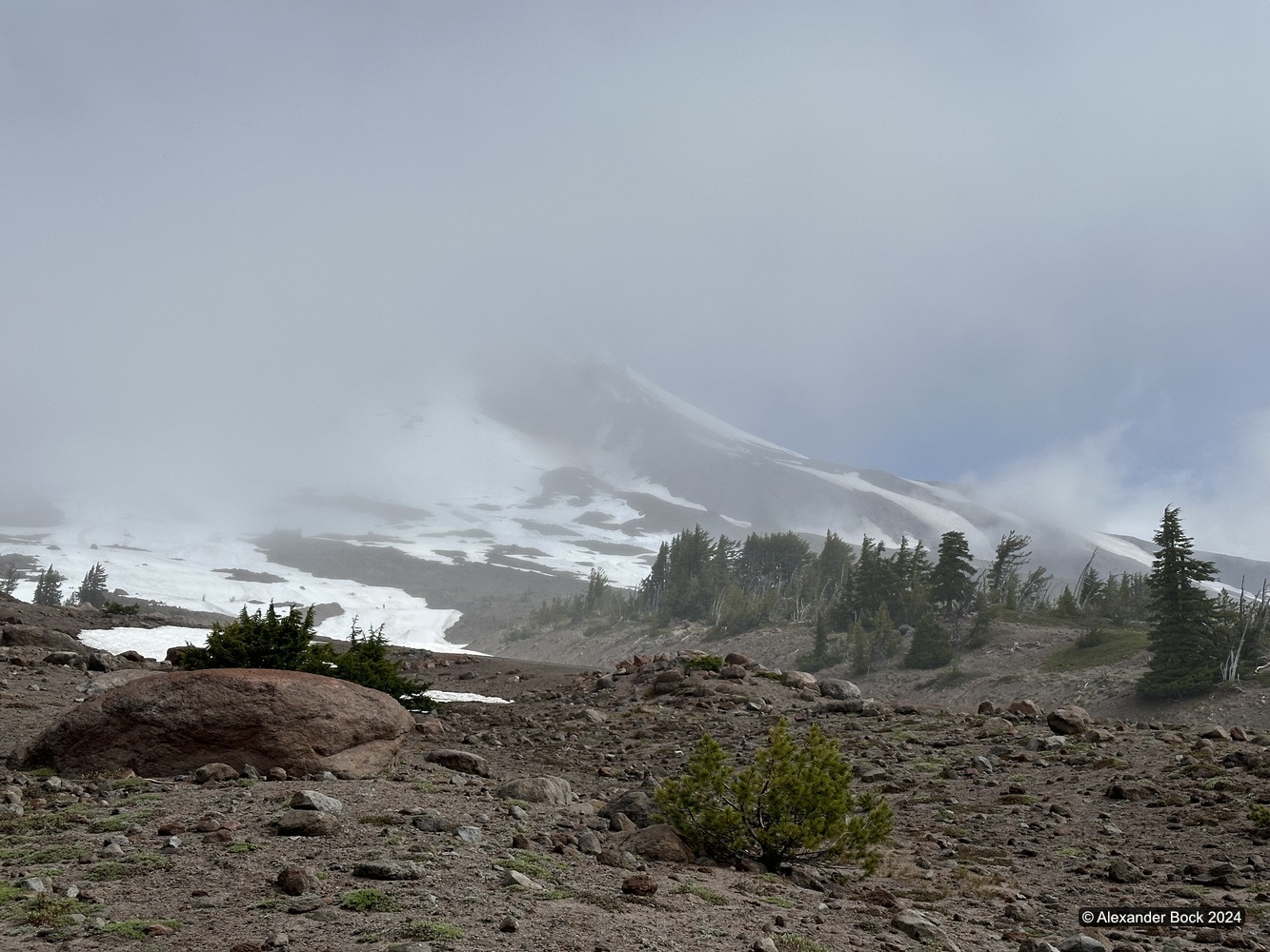 Mt. Hood