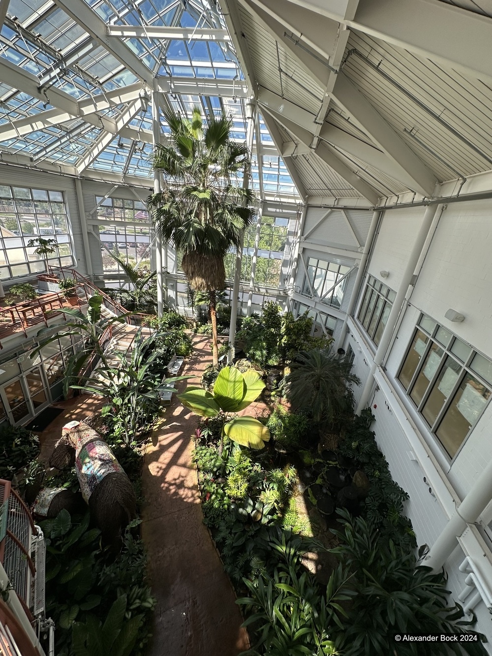 Inside botanical garden