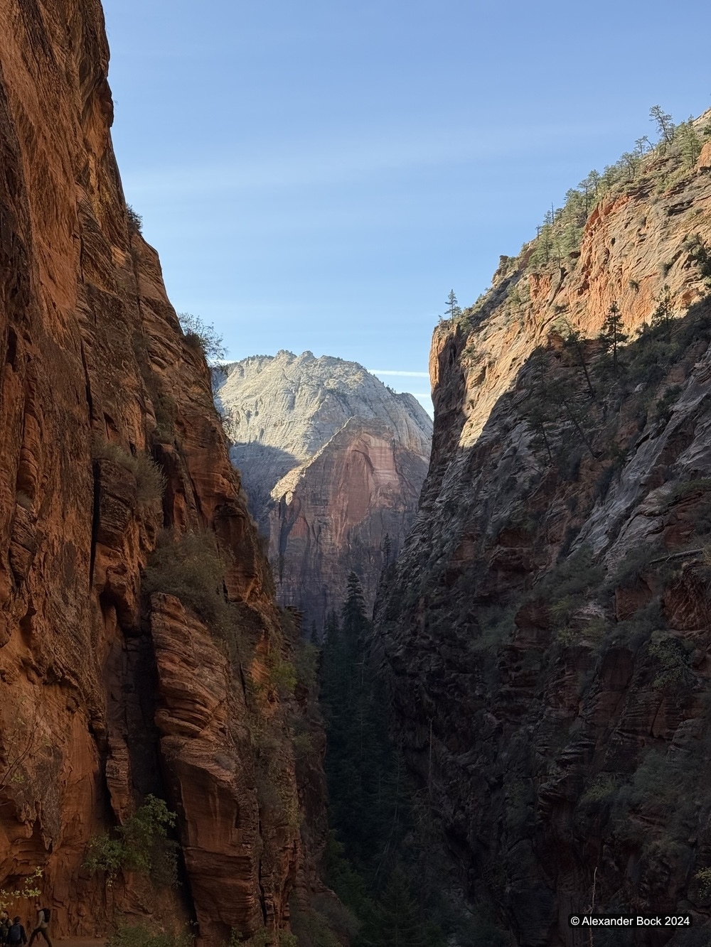 View back down Zion Canyon