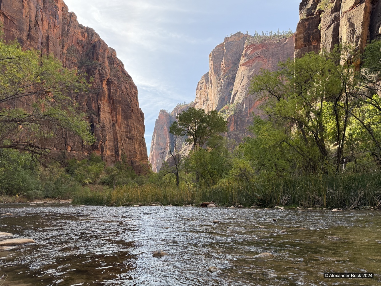 View down the Virgin River