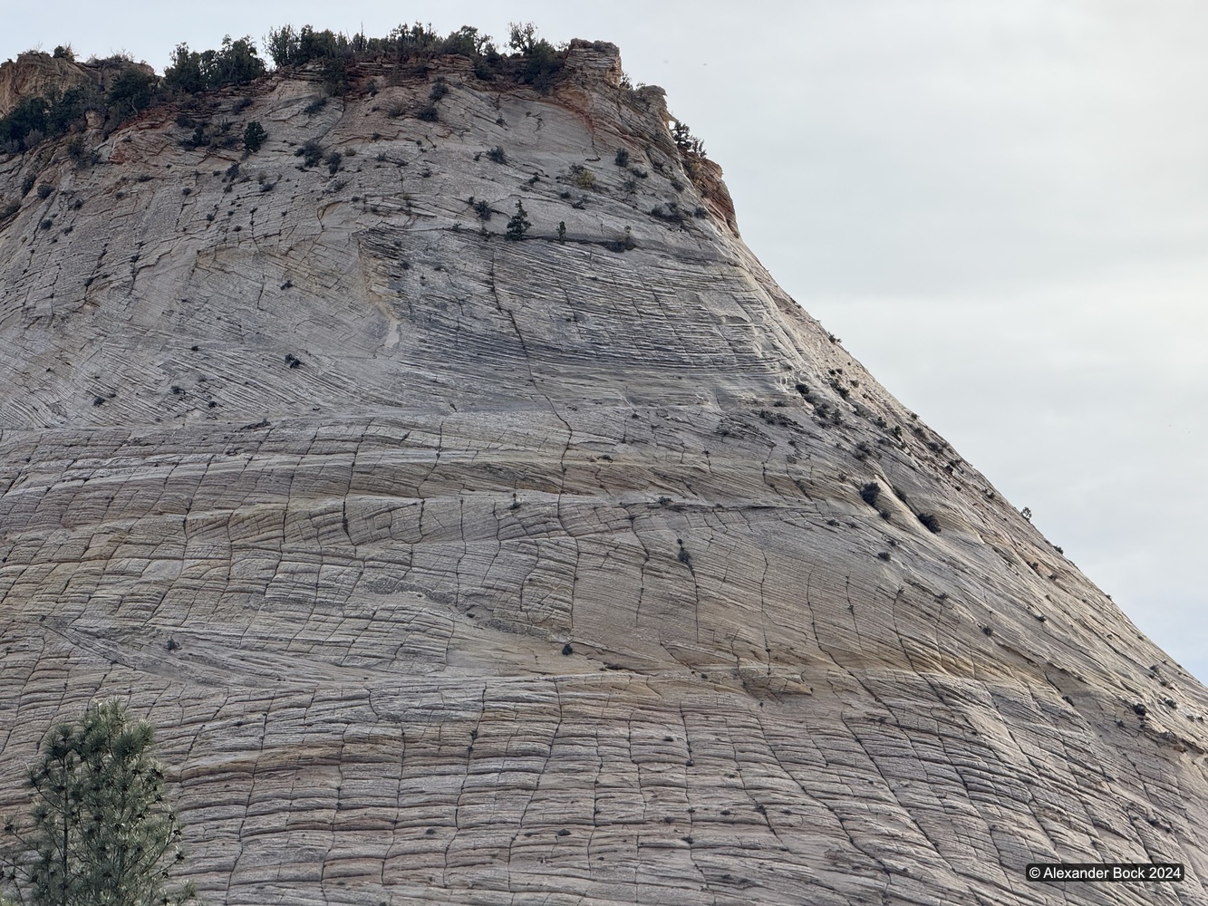 Checkerboard Mesa