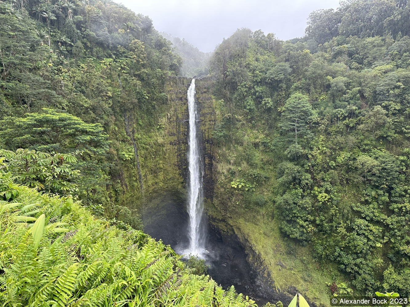 View of Akaka Falls