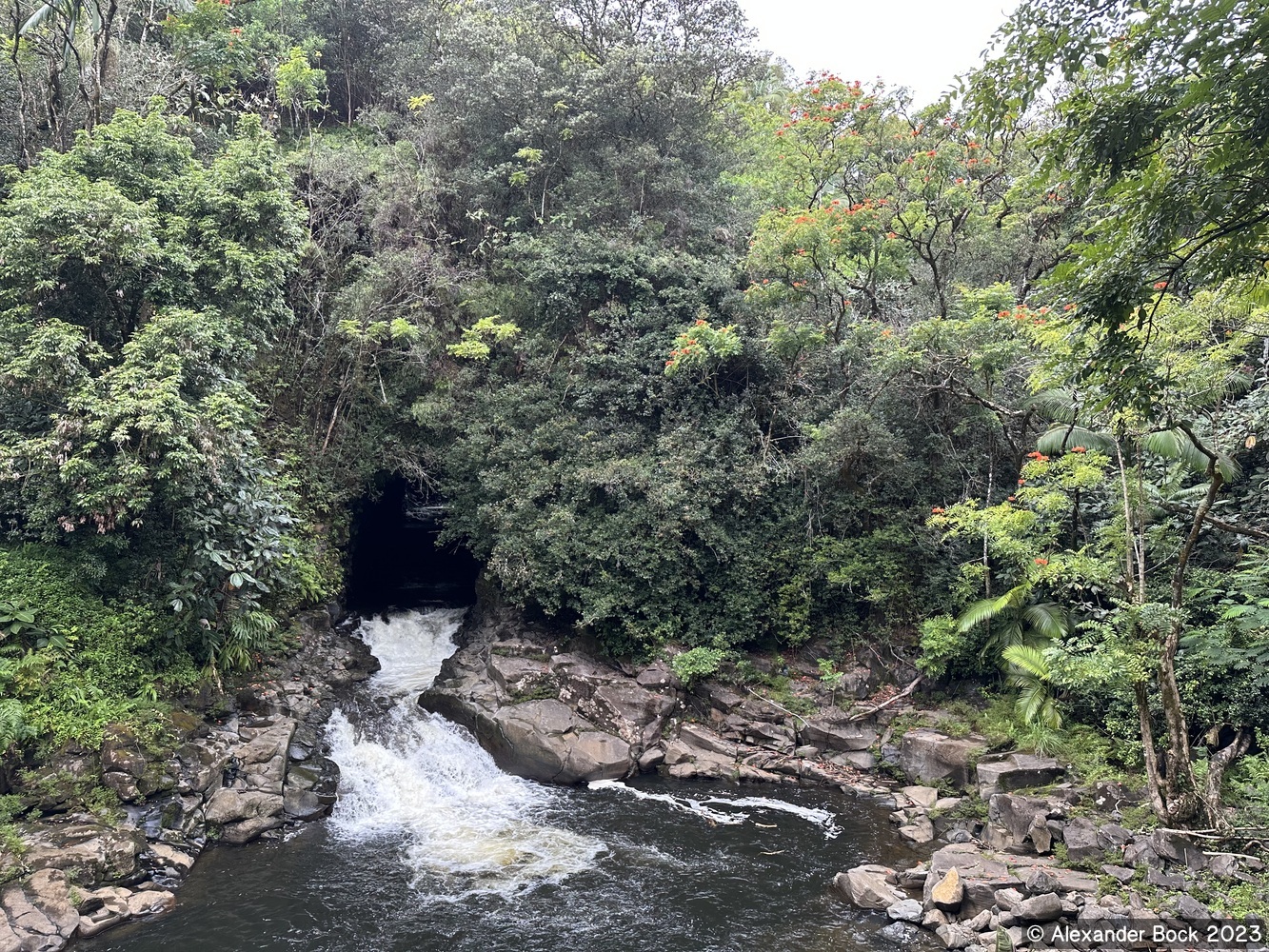 A roadside stream