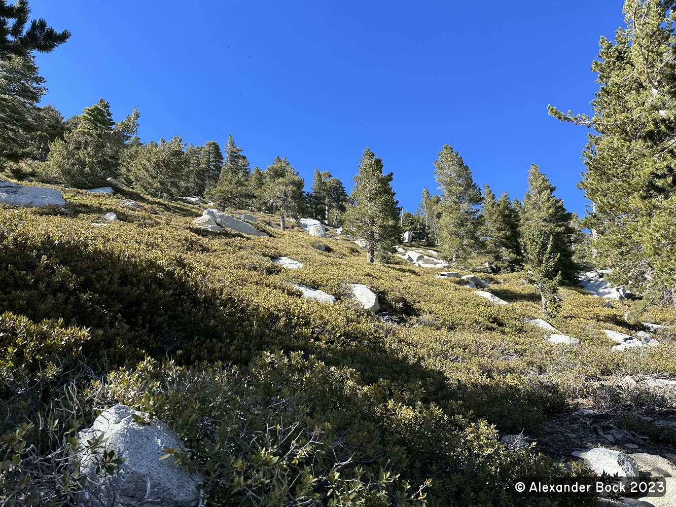 Mount San Jacinto