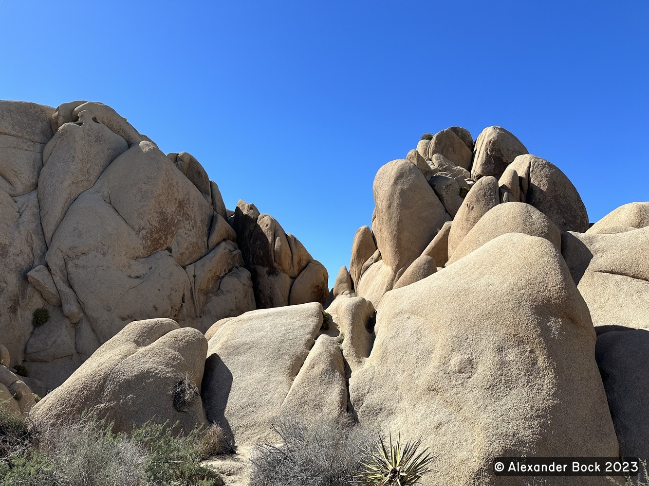 Joshua Tree National Park