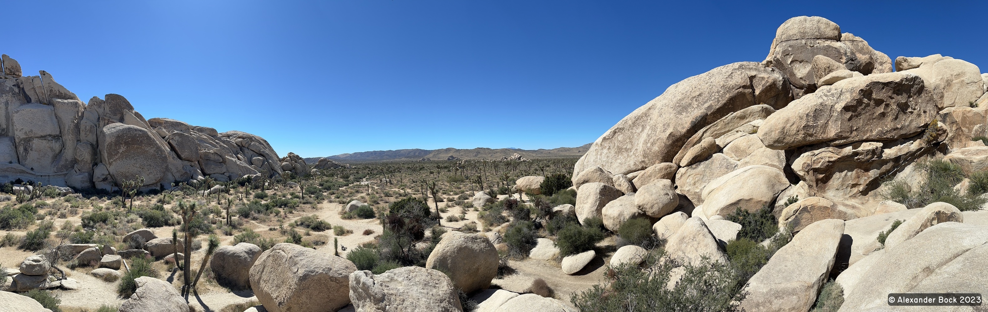 Joshua Tree National Park