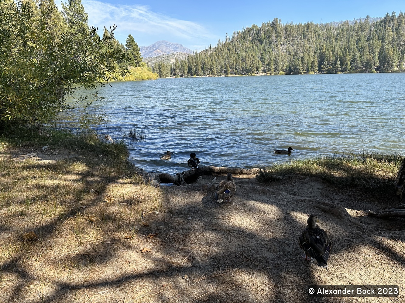 King's Canyon National Park