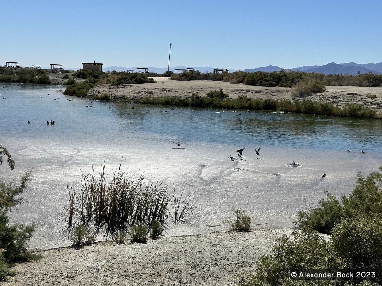 Salton Sea