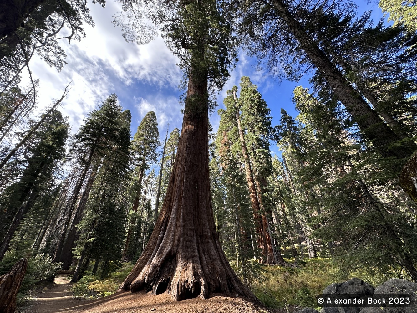 Sequoia National Park