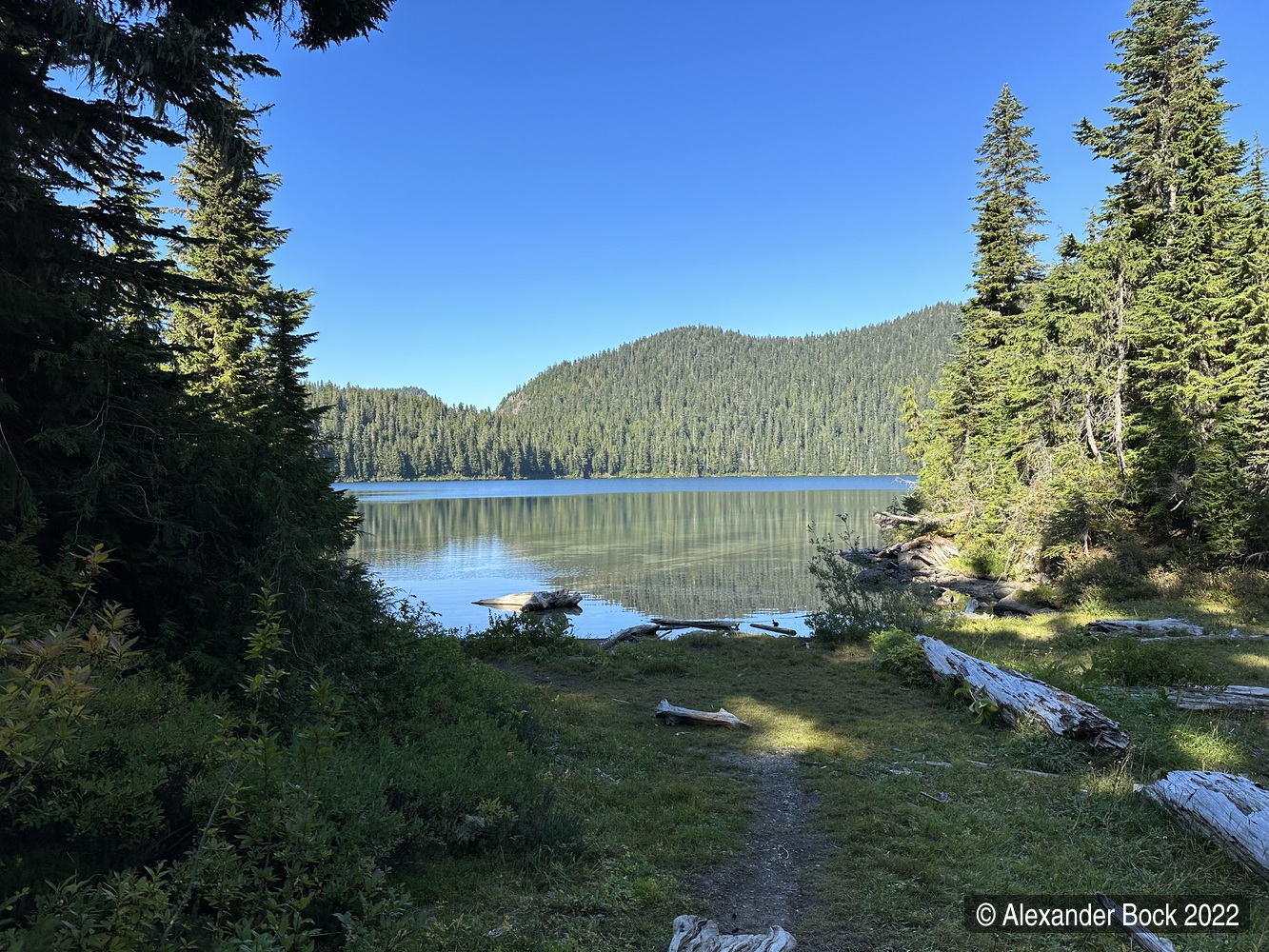 Photo of Mowich Lake